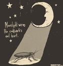 Moonlight warms