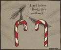Candy Cane Hanging From a Tree