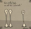 Cotton Balls