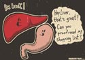 Liver's Back