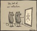 Rats' Reflection