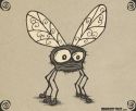 Fly