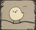 chirp