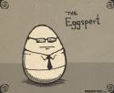 The Eggspert