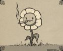 Smoking Flower