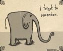 I Forgot to Remember