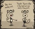Monkey Suit