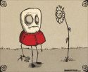 Picking Flowers