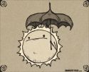Sun Parasol