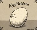 Egg Hatching