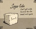 Sugar Cube