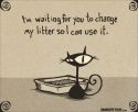 Litter Box