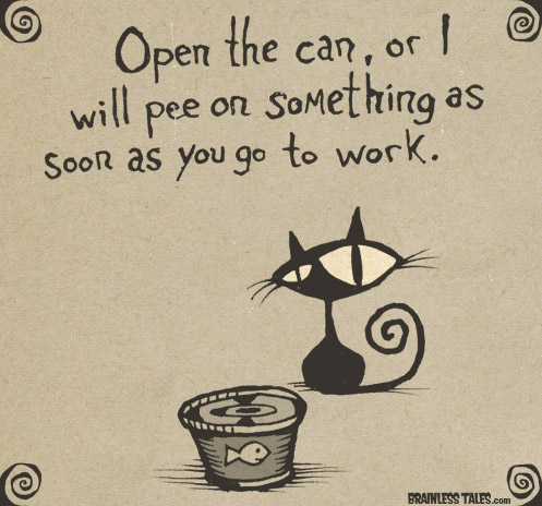 Open the can