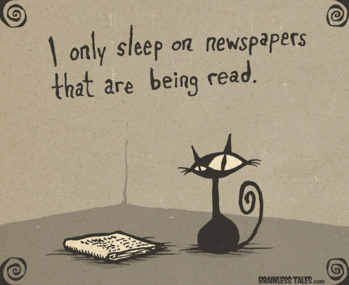 Sleep on Newspapers