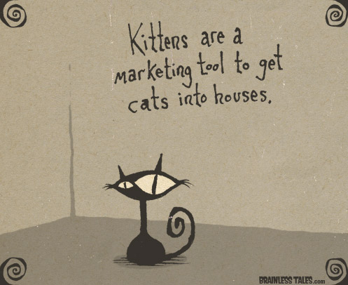 Kittens are a Marketing Tool