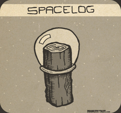 Spacelog