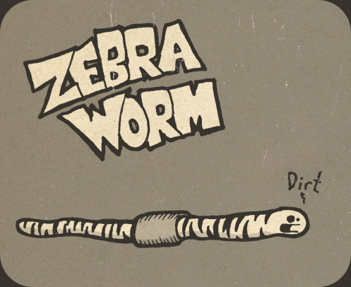 Zebra Worm