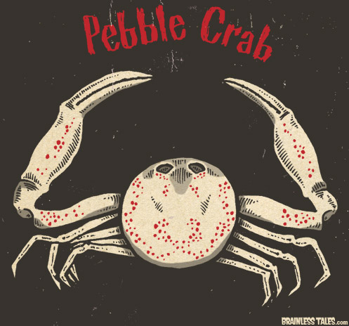 Pebble Crab