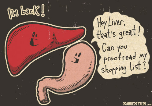 Liver's Back