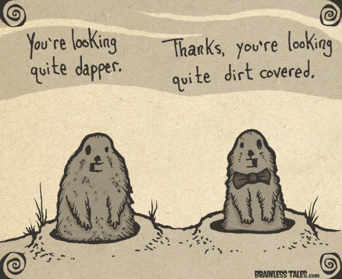 How Are The Prairie Dogs Looking?