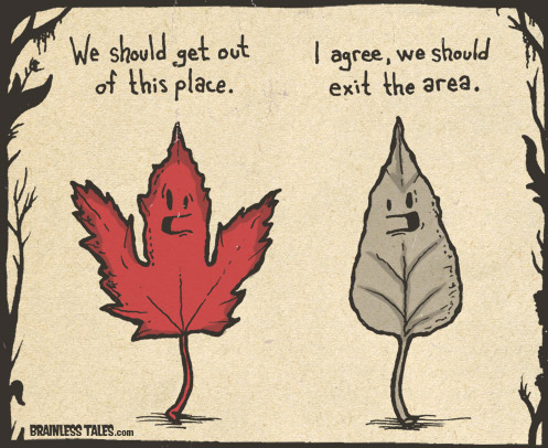 Leave?