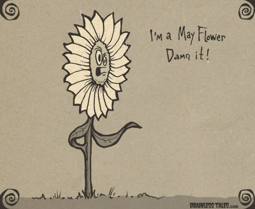 May Flower