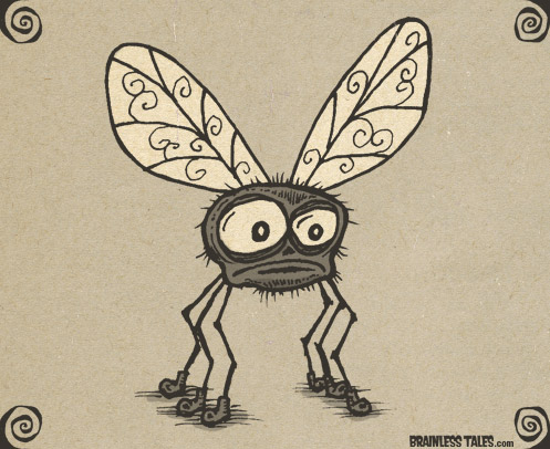 Fly
