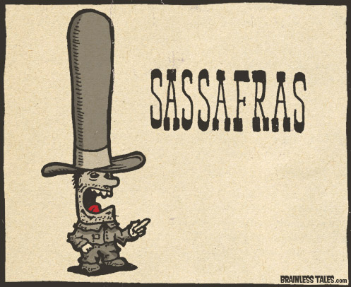Sassafras