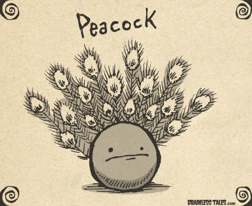 Peacock