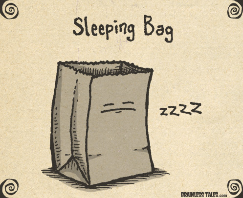 Sleeping Bag