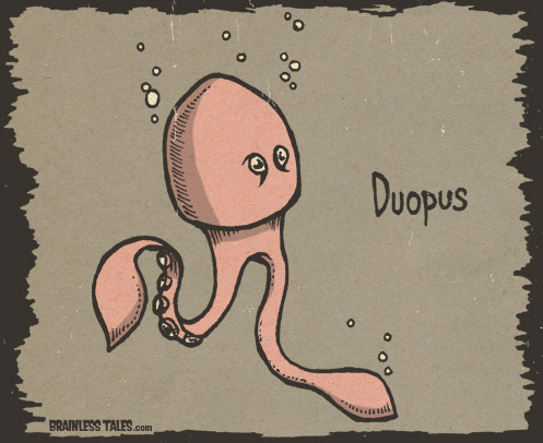 Duopus