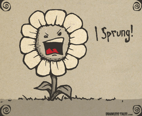 Flower Sprung