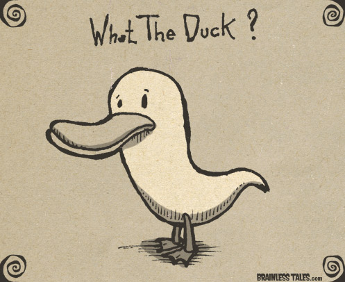 What The Duck