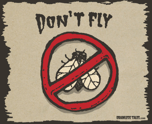 Don't Fly