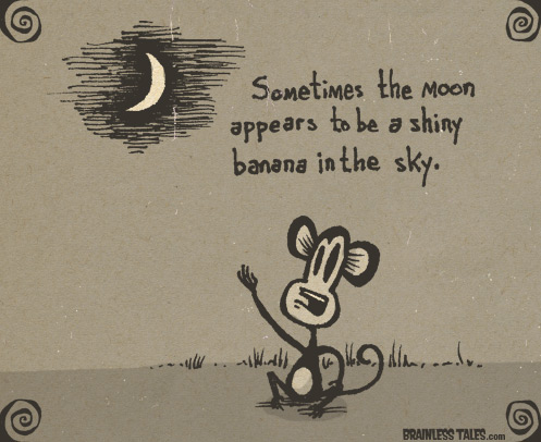 Monkey Moon