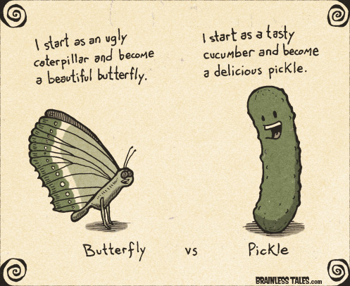 Butterfly vs Pickle