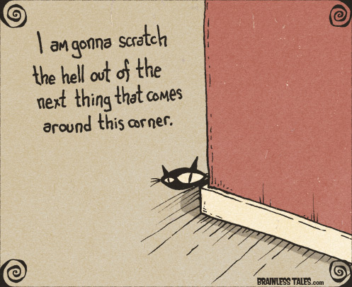 Cat Corner