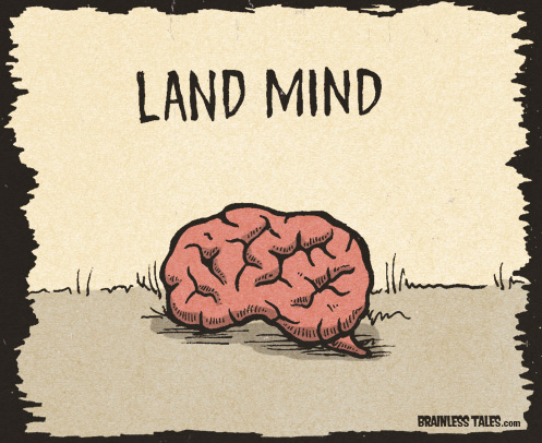 Land Mind
