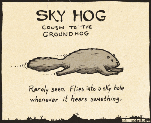 Sky Hog