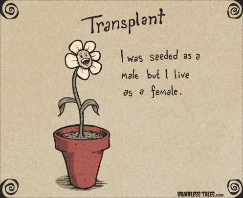 Transplant
