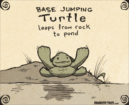 Base Jumping Turtle