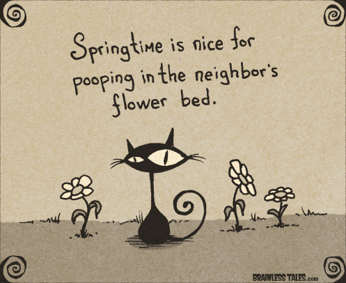 Cat Springtime