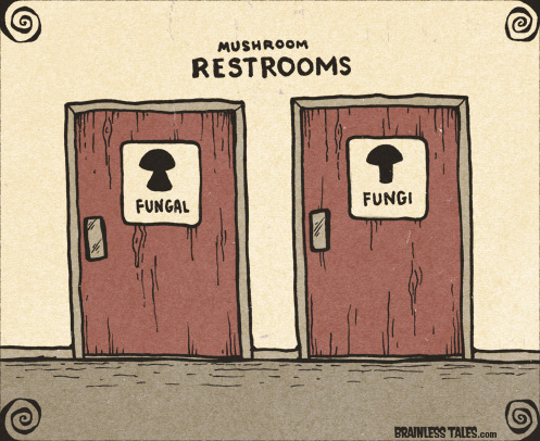 Mushroom Restrooms