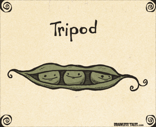 Tripod