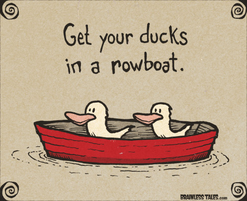 Get Your Ducks In A Rowboat