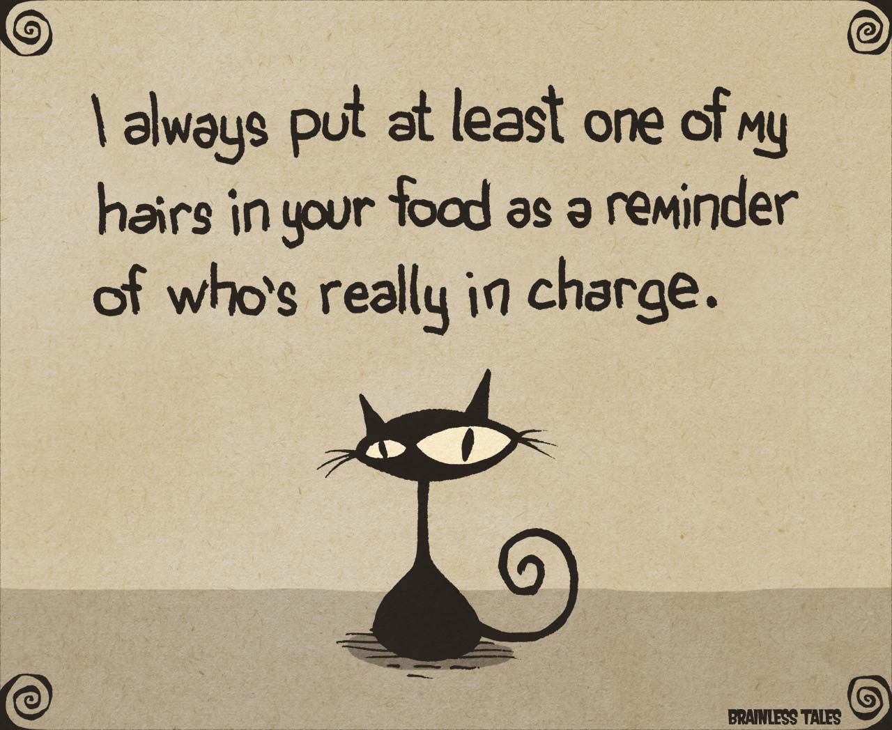 Cat Hair