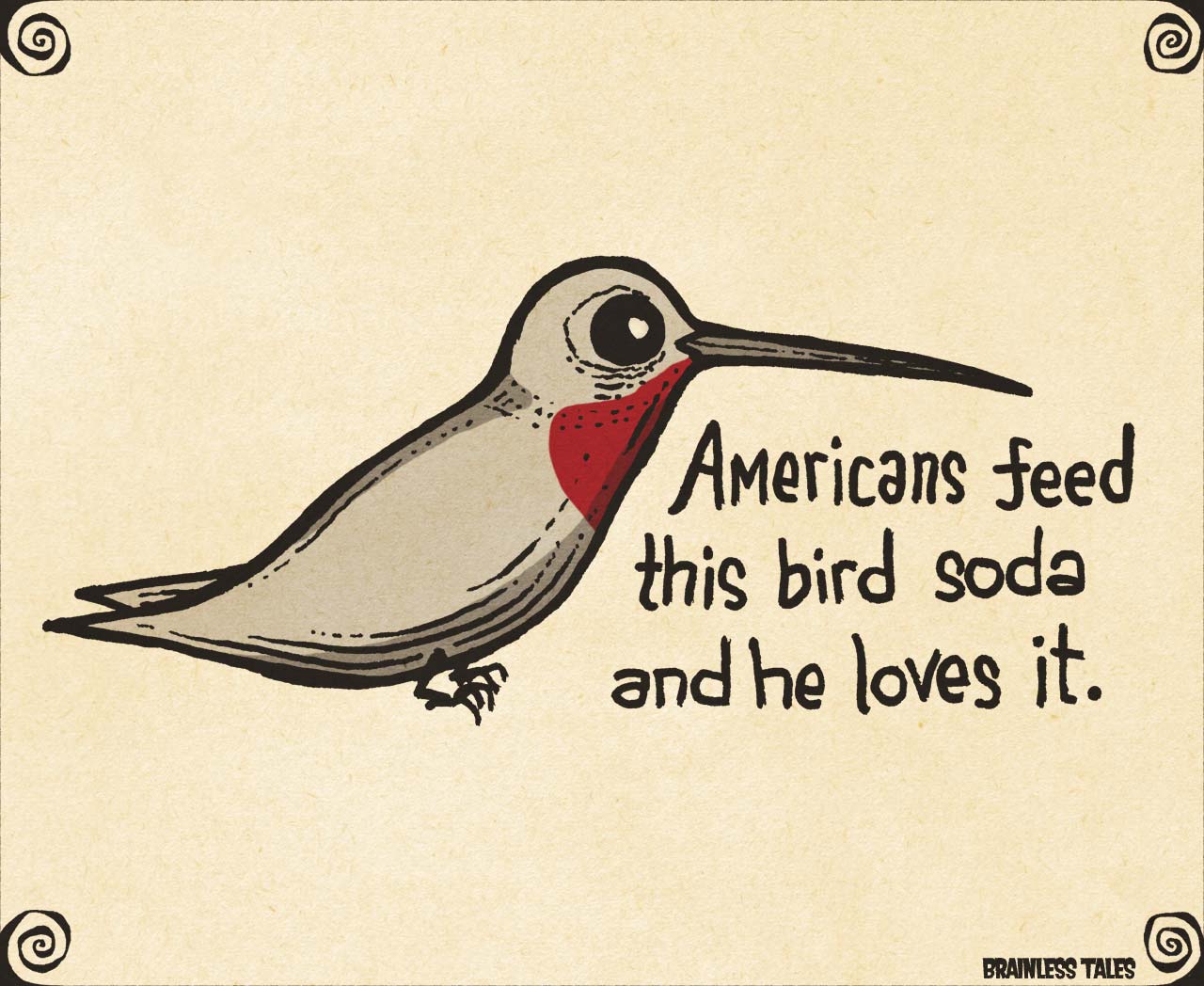 Soda Bird