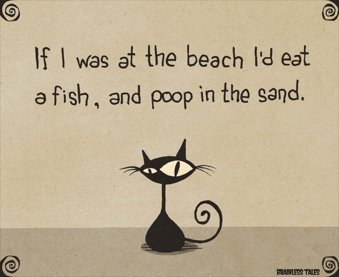 Cat at the Beach