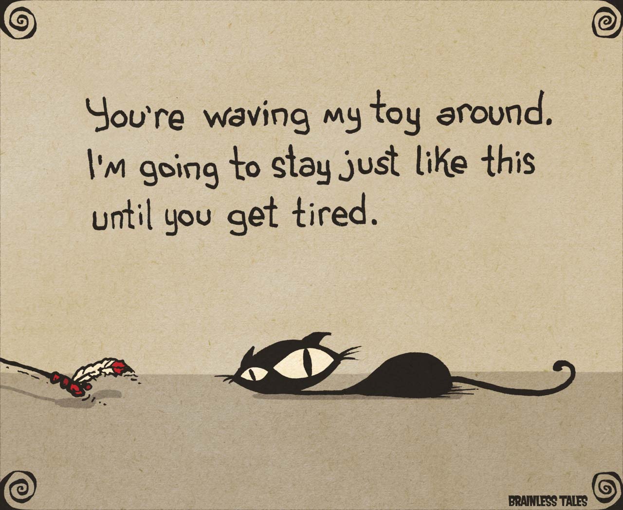 Cat Toy
