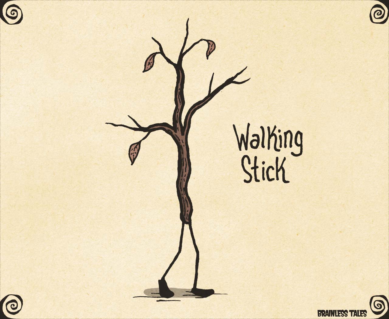 Walking Stick